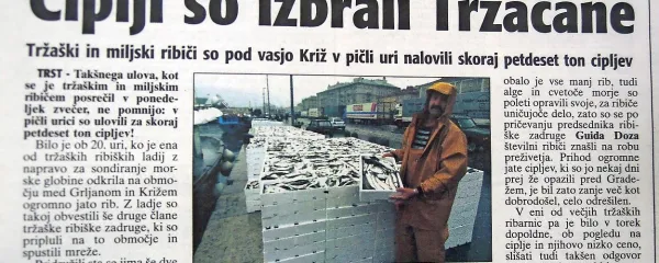 Zadnje dni januarja 2001 se je tržaškim in miljskim ribičem 
nasmehnila sreča: v pičli uri so nalovili za skoraj 50 ton 
cipljev.