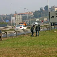 Ob južni strani hitre ceste so preiskali vsako ped trave. 