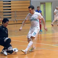 Slovenska reprezentanca v futsalu oziroma malem nogometu  
je moštvo Združenih držav Amerike premagala s kar 14:0 
(8:0).
