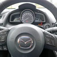 Vstop v svet elegance