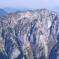 Jerebica