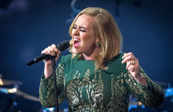 Kljub temu, da je Adele album 25 izdala šele 20. novembra, je 
do konca leta 2015 podrla vse rekorde.