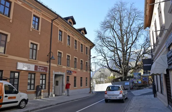 Upati je, da bodo veliko stavbo z več lastniki potresno 
obnovili in s tem polepšali center mesta. 