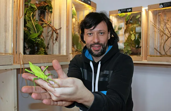 Klemen Ogrizek na razstavi predstavlja približno 40  predvsem tropskih vrst posnemalcev z 
različnih koncev sveta, različnih barv, oblik in velikosti ter z njimi povezane  zgodbe. 
