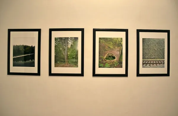 Boštjan Pucelj je fotografije iz serije Zbogom posnel na krajih, 
kjer so si ljudje vzeli življenje.
