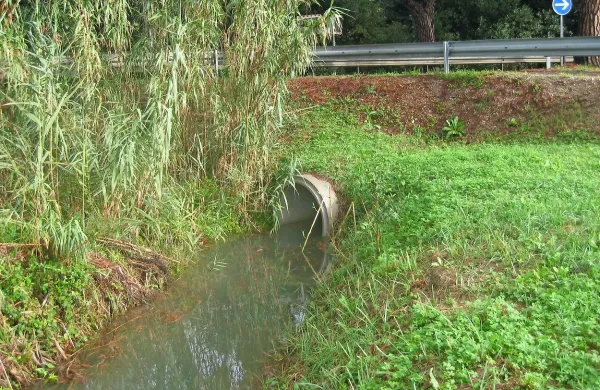 Takšni kanali so idealno okolje za razplod komarjev. 