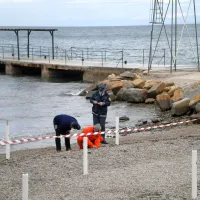 Kako se je ročna bomba znašla na plaži v Simonovem 
zalivu?