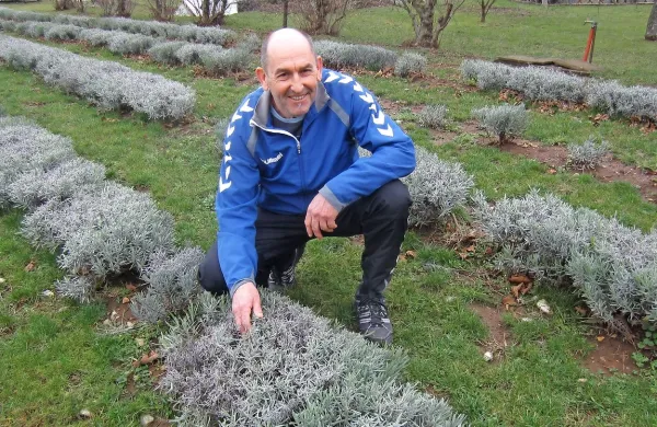 Kraški sivkar Stojan Korošec iz Divače je v družinskem 
podjetju Sivček - dišave iz mesta nad reko izdelal bio 
detergent za pranje perila, ki so ga potrošniki nagradili za 
produkt leta 2016.  