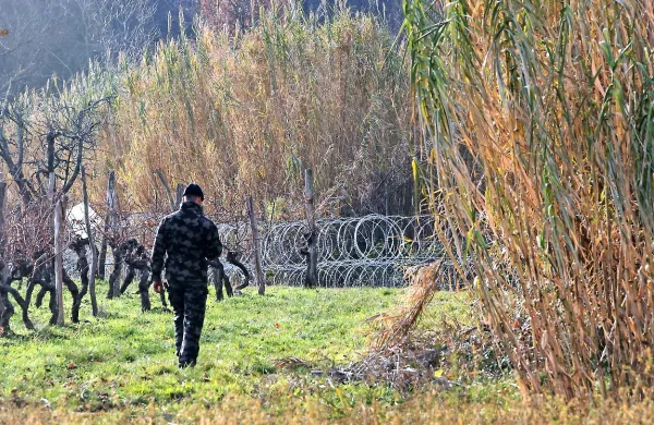 Pri patruljiranju na zeleni meji se je v sodelovanje s policijo 
danes vključilo tudi približno  sto pripadnikov Slovenske 
vojske.