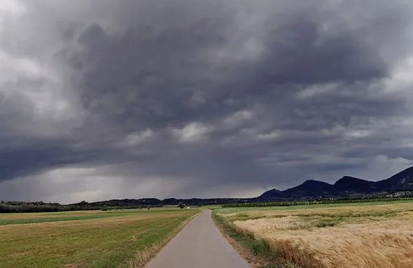 Mestna občina Nova Gorica je v minulem letu  izvedla 
komasacije  v spodnji Vipavski dolini.