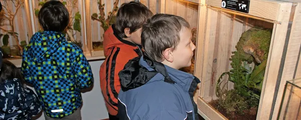 Živalice v terarijih - zabojnikih so posebej zanimive za male 
obiskovalce, sploh, če jih je treba najti. 
