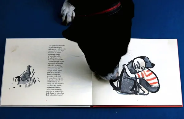 Pavčkovo pesnitev bogatijo ilustracije Maje Kastelic.