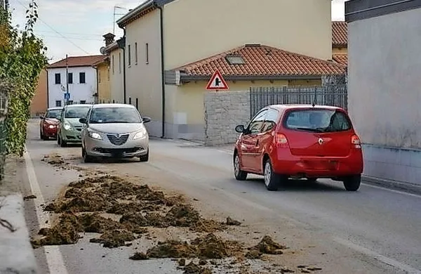 Tovorno vozilo, ki je prevažalo rjavi tovor, je med vožnjo skozi 
vas izgubilo kubični meter (ali več) gnoja, ki se je znašel na 
cesti.