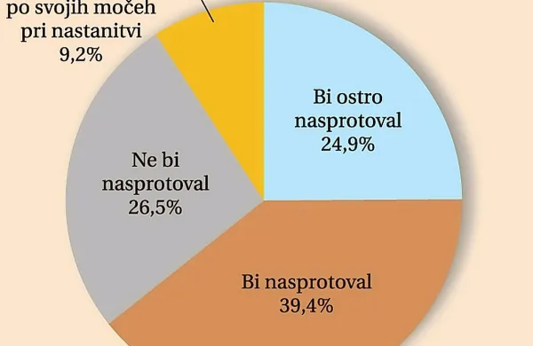 Azilante najbolj zavračajo mladi Primorci