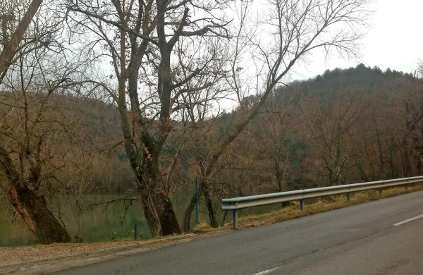  Ekipo, ki bi žabicam s selitvijo čez cesto rešila življenja, iščejo 
tudi v Vanganelu, kjer te dvoživke začetek pomladi migrirajo 
proti jezeru.
