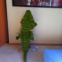 Krokodil, ki pleza po steni ...  