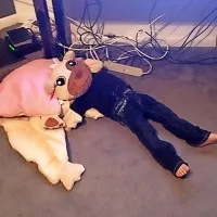 Bolj in manj posrečena skrivali&scaron;ča