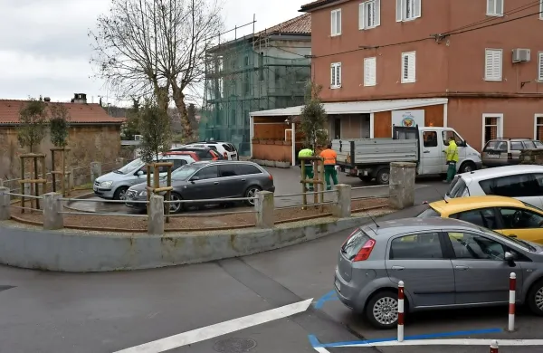 

Štirje črni hrasti so zasedli mesto petih posekanih platan  na “placu” v Hrvatinih.   