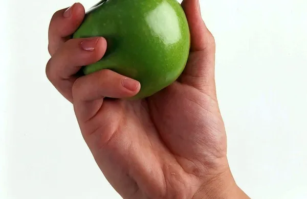 Na vrhu seznama je jabolko, a izključno zeleno jabolko ima 
učinek kurjenja maščob. 