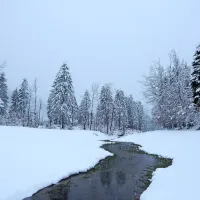 Potok v Zadlogu, ki se  pojavi ob  večjih padavinah ter po nekaj 
100 metrih  ponikne v  požiralnik. 
