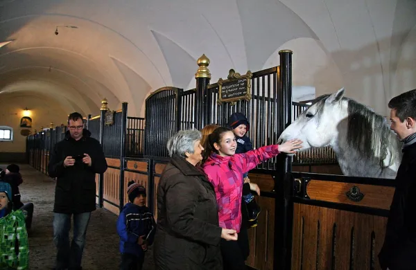 V letu 2015 je Kobilarno Lipica obiskalo 78.000 obiskovalcev.