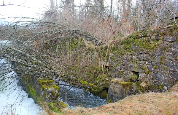 Od nekdanjega mlina in žage so ostale le še ruševine, 
kamnita mlinska korita so prekrila porušena drevesa, jez pa je 
zapuščen. 