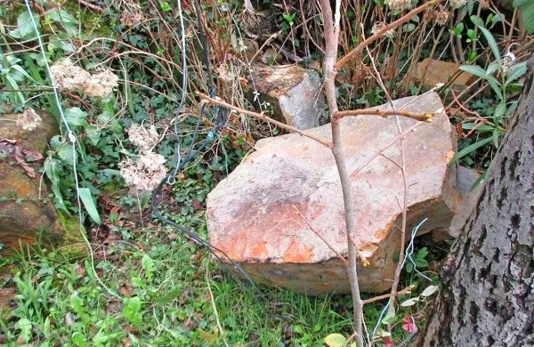 Skala s klifa je pristala nekaj metrov od hi&scaron;e