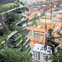Stolpnici, na katerih raste več kot 2000 dreves