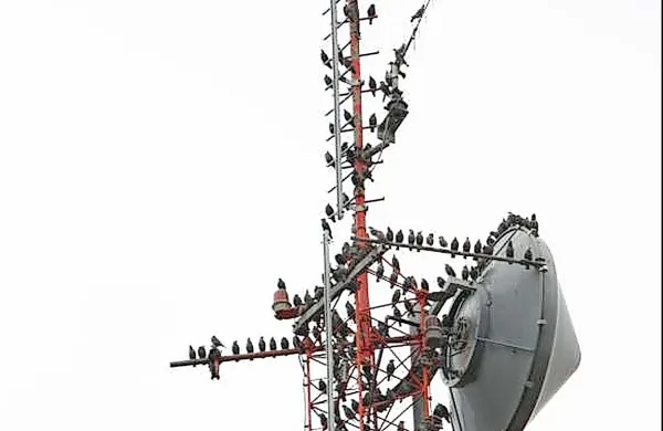  Slovenske radijske postaje na Primorskem se zaradi neurejenega vprašanja rabe radiofrekvenčnega prostora že več 
let soočajo z motenjem frekvenc s strani italijanskih radijskih 
postaj ter njihovimi tožbami.