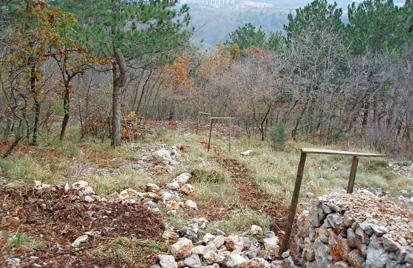 Geološko najdišče v Padričah, staro 65 milijonov let, bodo 
zaščitili in vključili v širšo naravoslovno območje na Krasu.