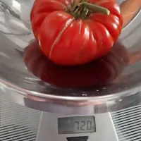 Dvojno slovensko slavje v Planici