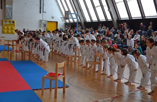Tradicionalni karate