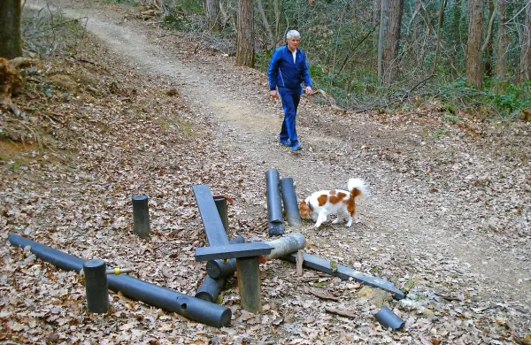 Ob  sečnji je bila   poškodovana postaja za krepitev trebušnih 
mišic na trim stezi.