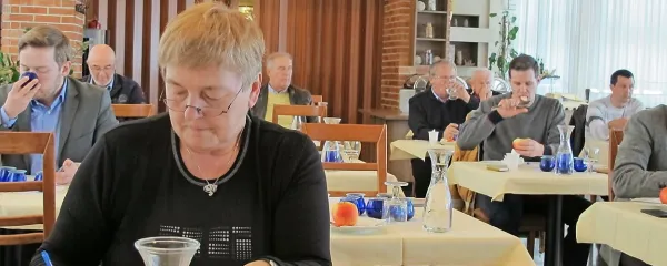Zlata oljčna vejica