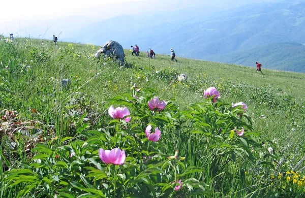 Najvišje dnevne temperature bodo jutri od 14 do 20 stopinj 
Celzija.