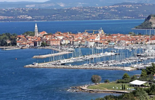 Izola bo dobila 64 novih dreves.