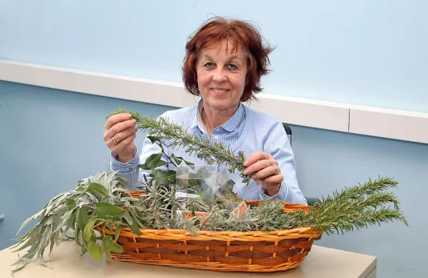 “Dobili smo ponudbo za odkup  štirih ton žajblja in rožmarina 
ter dveh ton lovorja. Takih količin zaenkrat še nismo sposobni 
zagotoviti,” pravi Irena Bartolič.