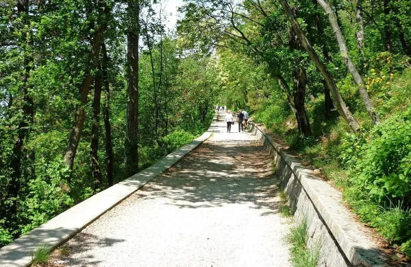 Pohodnik je ob priljubljeni sprehajalni poti včeraj naletel na 
srhljiv prizor.