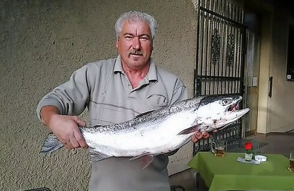 Marijo Vodopivec s postrvjo, ki jo je ujel včeraj v Solkanu.