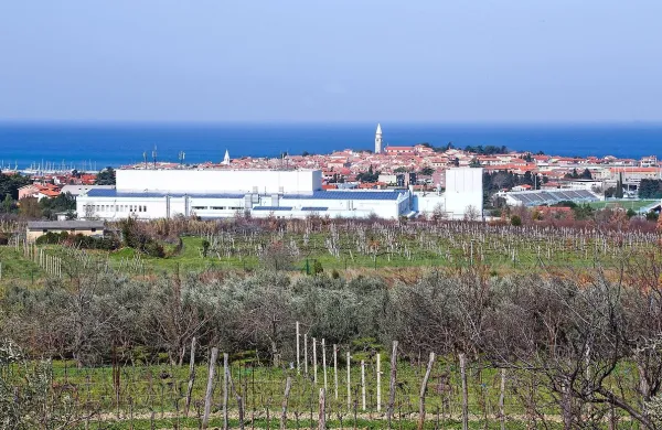 Podjetje Riba je od občine že iztožilo vrnitev plačane kupnine 
za zemljišče v izolski industrijski coni, ker občina ni spoštovala pogodbenih obveznosti. Zdaj pa od občine terja še 
970.000 evrov za poslovno škodo, ki naj bi jo utrpelo.