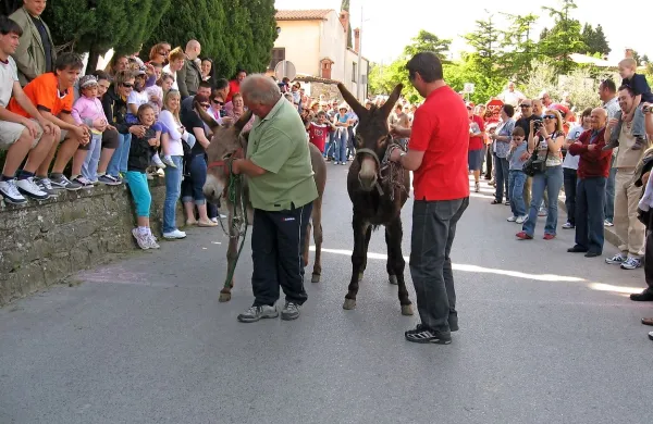 Prvomajske igre so bile  za kortežansko turistično društvo  prevelik zalogaj (fotografija je iz leta 2010). Zdaj pripravljajo le še  
Pohod po poteh vodnih virov in obisk Božička.