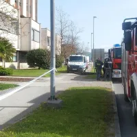 Snov v po&scaron;iljki ni bila nevarna za zdravje