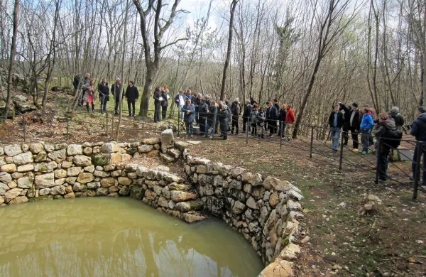 V času Festivala Kraška gmajna bo biolog Bogdan Macarol 
obiskovalce popeljal po Živem muzeju Krasa pri Sežani, kjer 
jim bo razkril lepote kraškega rastlinstva.  