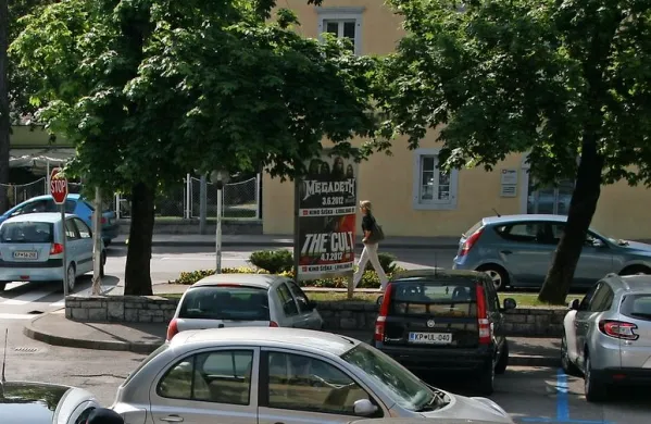 Tako bogato senco so vrsto let dajala v poletni pripeki 
drevesa med trgom pri pošti in Partizansko cesto.