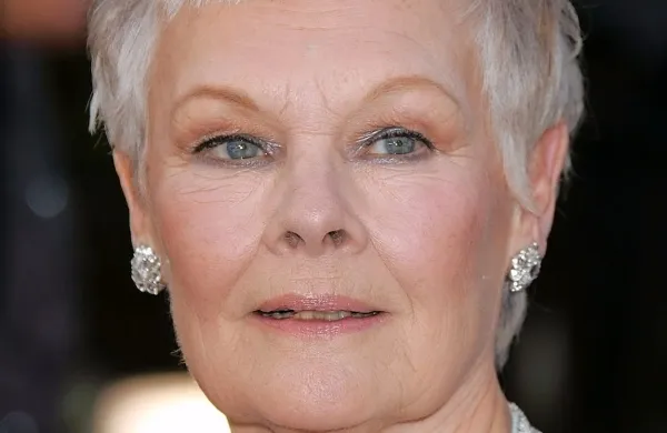 Judi Dench in drugi zvezdniki na dobrodelni dražbi