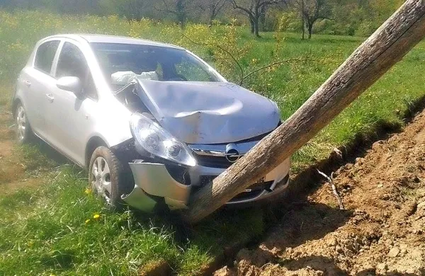 Z avtomobilom  je voznika zaneslo naravnost v telefonski  drog