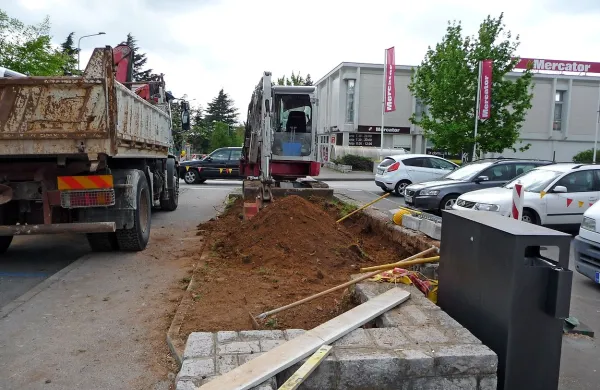 Koliko dreves  pred pošto in Mercatorjem je bilo res  bolnih? Po štorih tega  ni več  mogoče 
ugotoviti, saj so jih večino izruvali takoj, ko so drevesa požagali. 