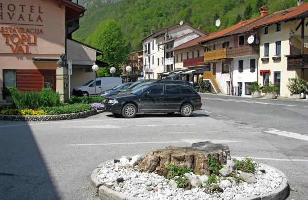 Kostanj  bi posadili na razširjeno zelenico pri hotelu, na 
njegovo mesto pa selili spomenik. 