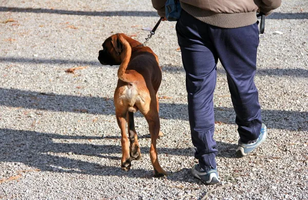 Fotografija je simbolična.