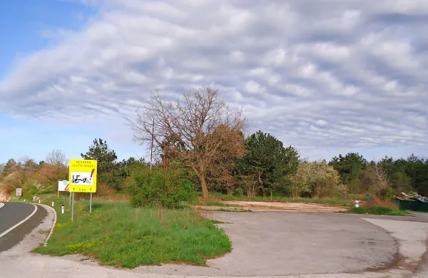 Podrtijo ob  cesti so poru&scaron;ili